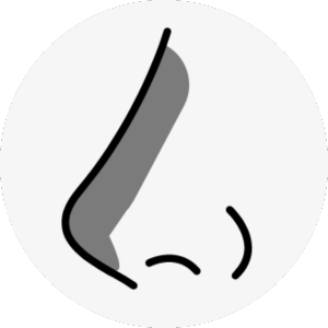 hawk nose surgery korea - Hawk Nose