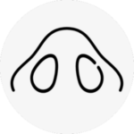hawk nose surgery korea - Hawk Nose