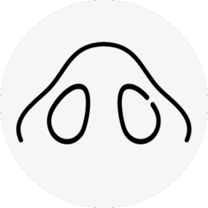 hawk nose surgery korea - Hawk Nose