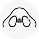 hawk nose surgery korea - Hawk Nose
