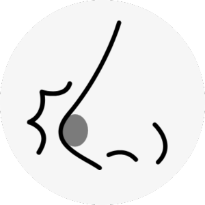 hawk nose surgery korea - Hawk Nose