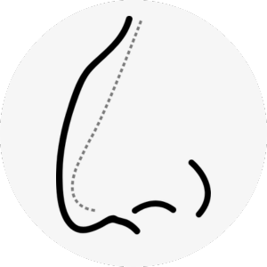 hawk nose surgery korea - Hawk Nose