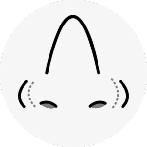 hawk nose surgery korea - Hawk Nose