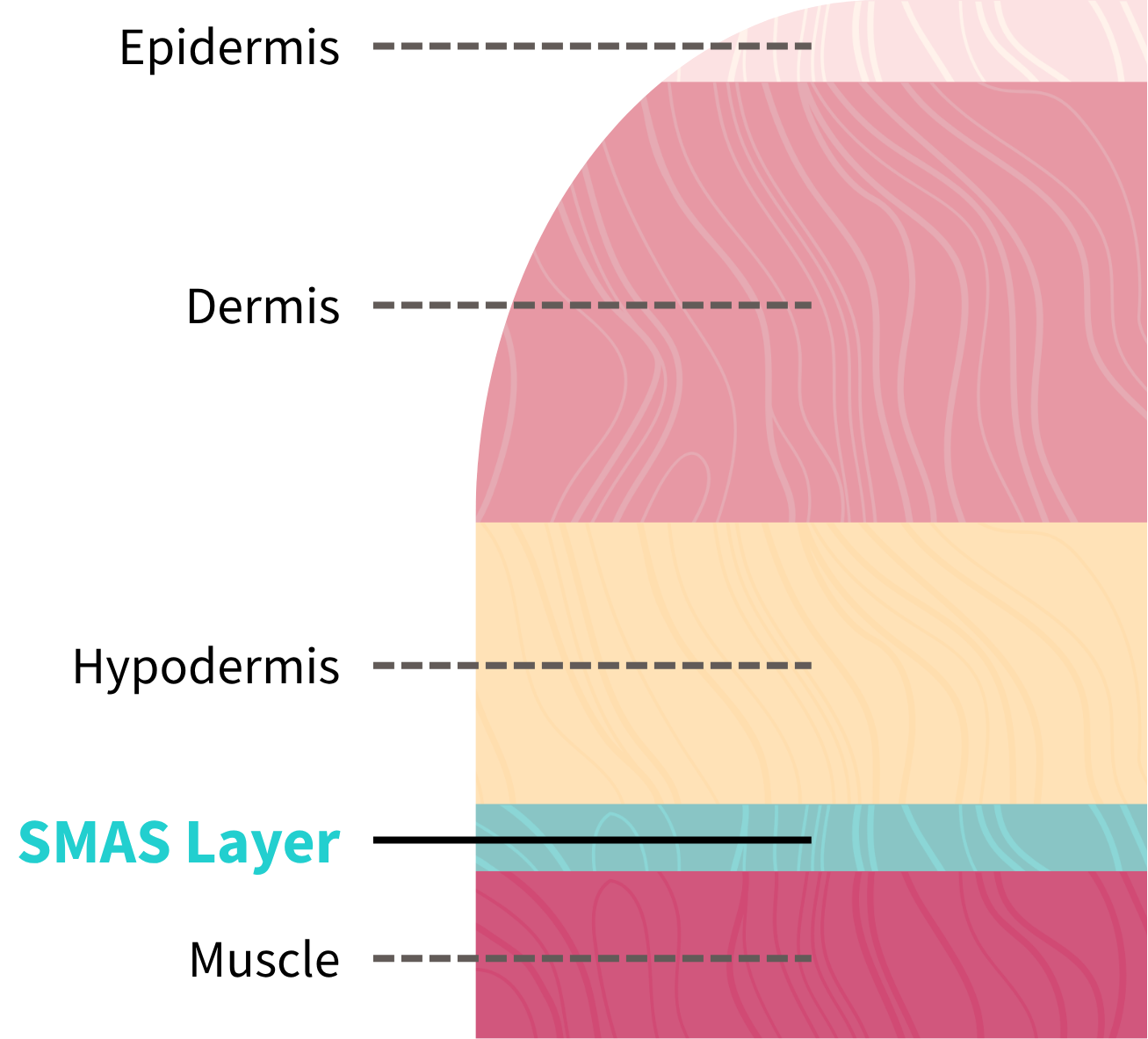 Facelift in Korea - ThePLUS Plastic Surgery in Gangnam